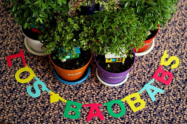 LOS BAOBABS: EL DISEÑO EN LAS PLANTAS