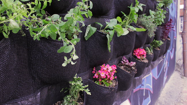 CONSTRUYENDO CIUDAD EN VERTICAL