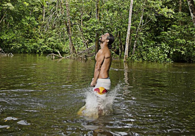 DE LOS ÁRBOLES A LOS RÍOS