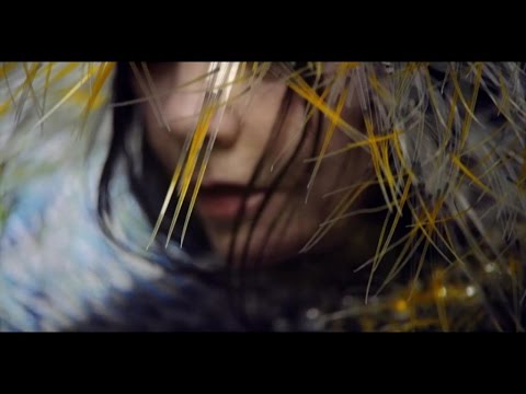 LIONSONG