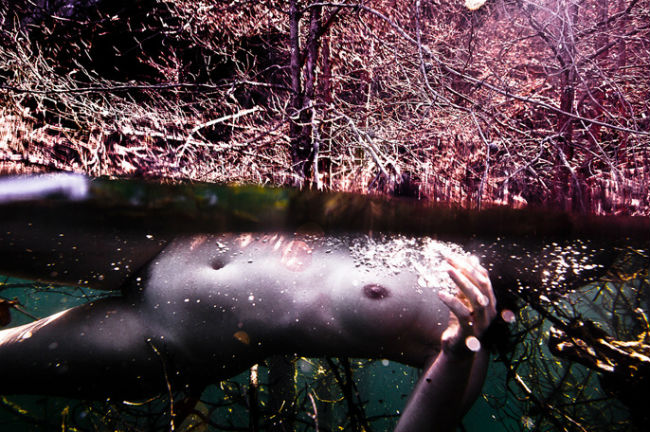 NEIL CRAVER