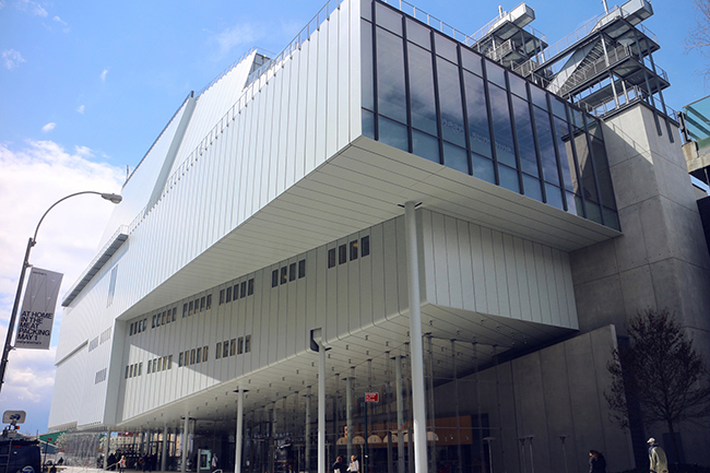UN MUSEO, DIVERSAS OPINIONES