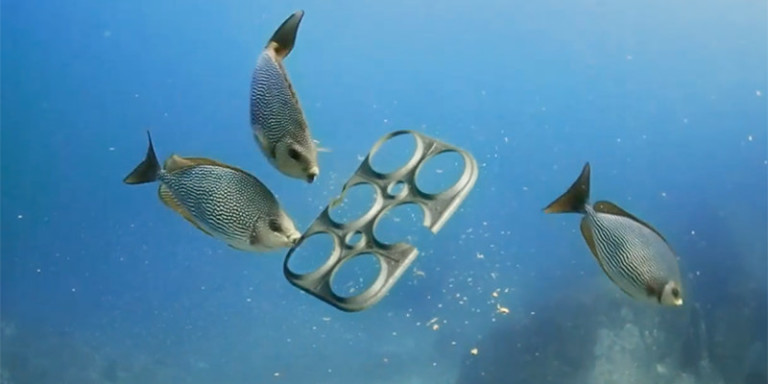 ANILLOS BIODEGRADABLES