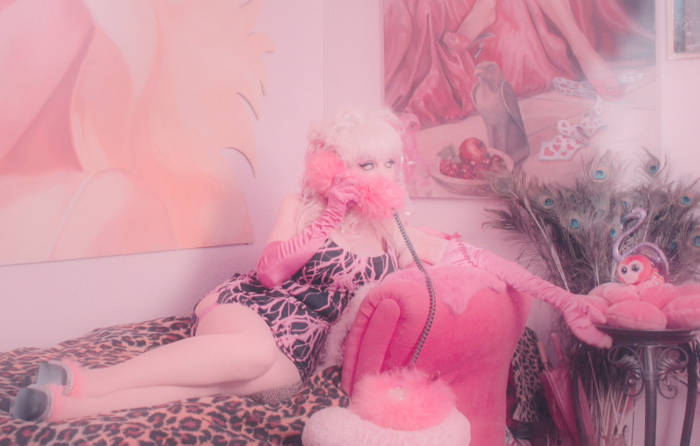 AMAZING ANGELYNE