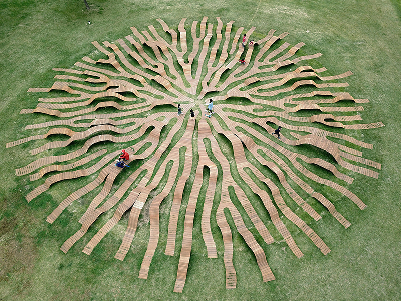 ROOT BENCH: BORRANDO LAS LINEAS ENTRE DISEÑO Y NATURALEZA