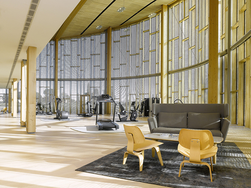 CUANDO EL BIENESTAR Y EL TRABAJO SE JUNTAN