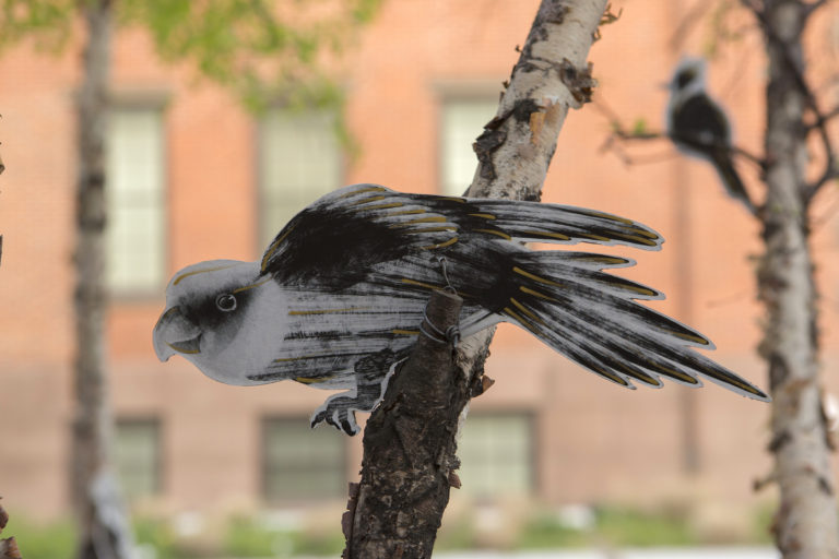Entrelazándome con el territorio: la invención de la naturaleza en la obra de Tatiana Arocha
