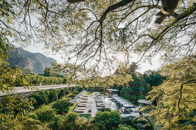 AMOMOXTLI, un resguardo en Tepoztlán