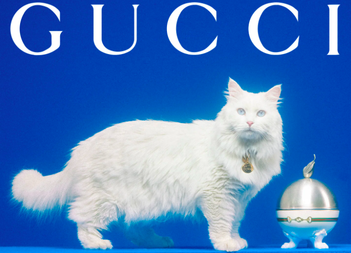 Accesorios para mascotas: Colección Gucci Pet