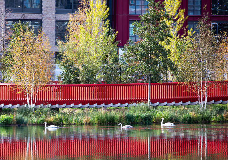 Canada Dock, Asif Khan, London, Townshend Landscape Architects, Brendan Bell