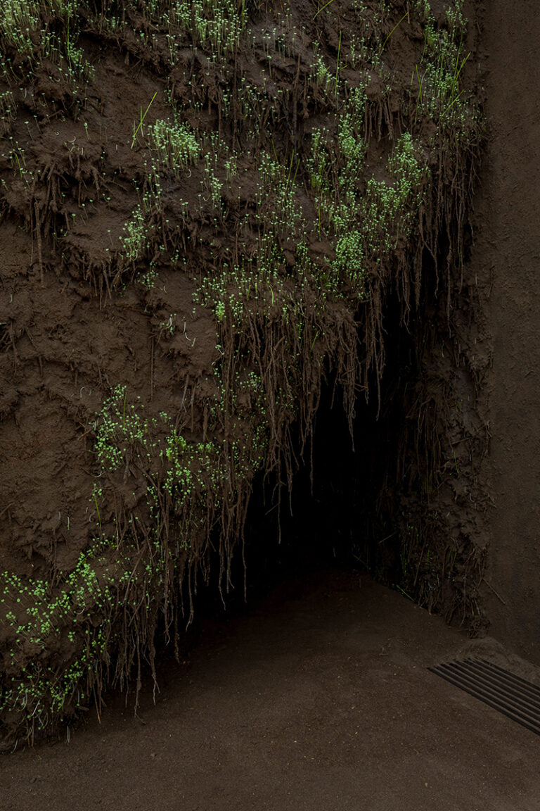 Delcy Morelos: de la tierra al museo