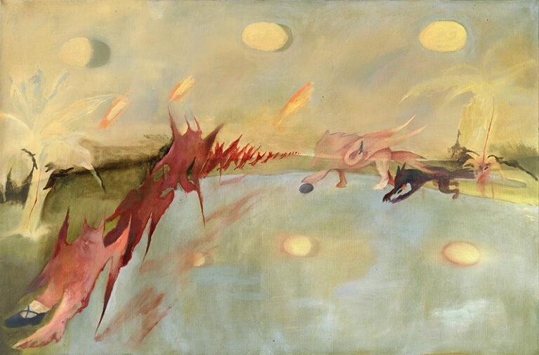 Manuela Caicedo: La imagen fulgurante