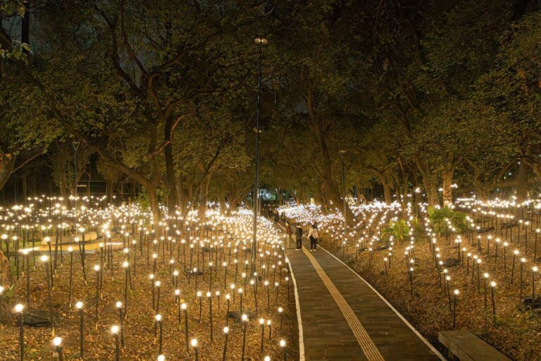 Rafael Lozano-Hemmer: Jardín inconcluso