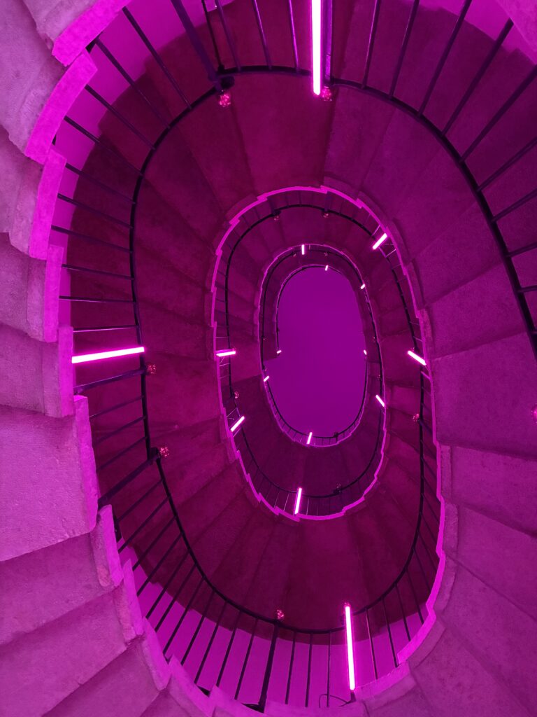 Bienal de Venecia 2026: que ver